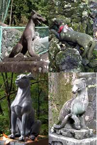 三峯神社の狛犬の画像