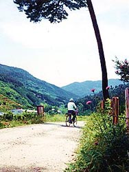 檜原神社から巻向へ向かう道(90年撮影)
